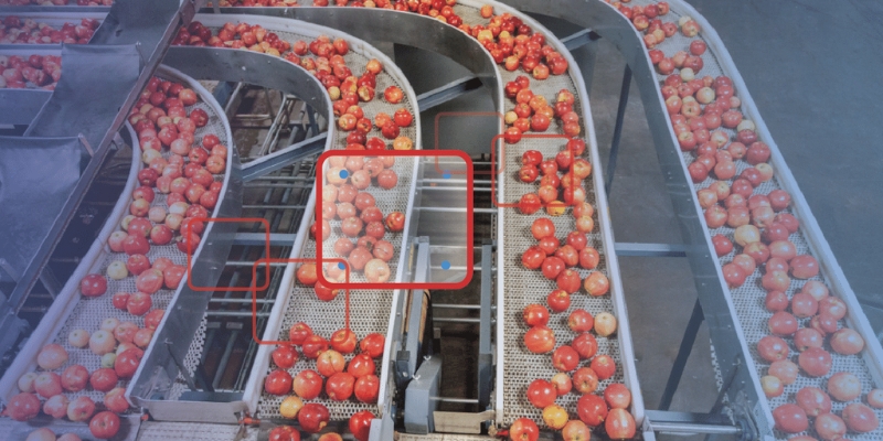 computer vision in automated quality control