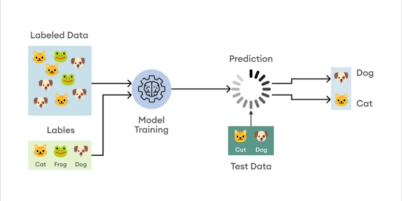 image classification