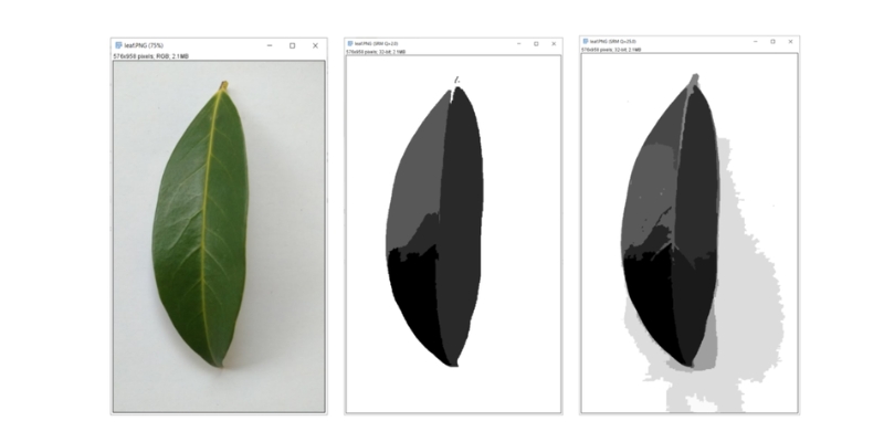 image segmentation