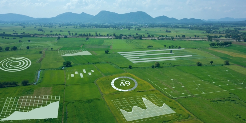 industry specific case studies of computer vision